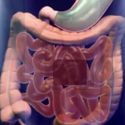 5 натуральных способов улучшить пищеварение и самочувствие