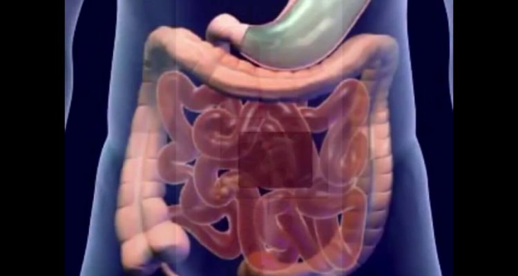 5 натуральных способов улучшить пищеварение и самочувствие