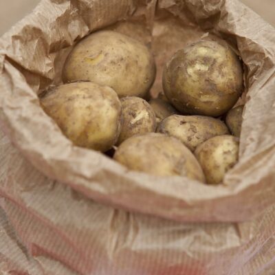 Как сохранить картофель зимой: секрет от опытных огородников