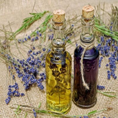 Народные средства от блох: как защитить дом и сад без химии