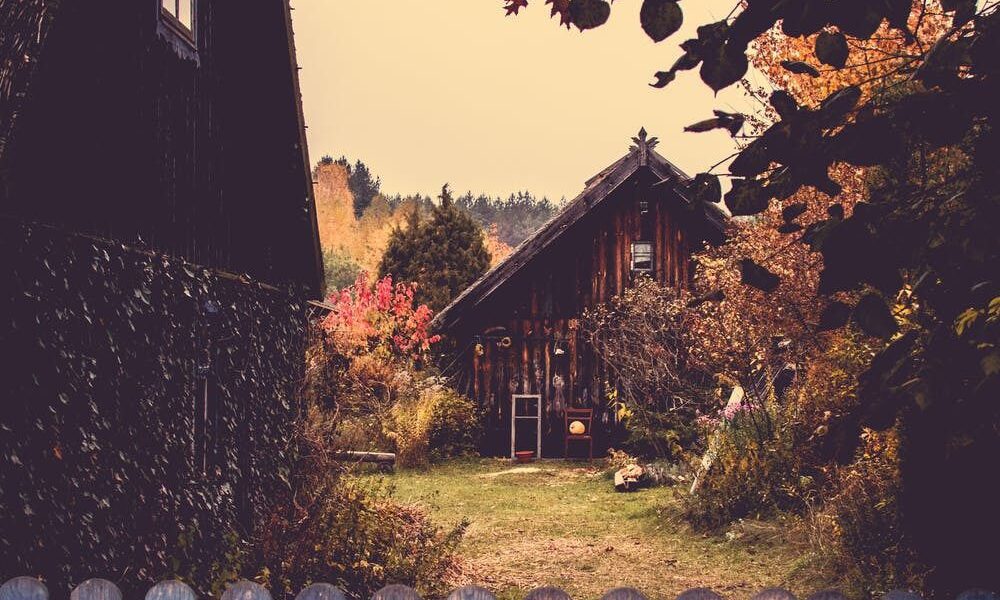 Секреты хранения урожая: почему не стоит делиться с соседями