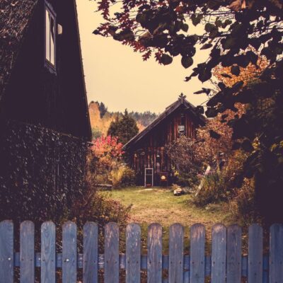 Секреты хранения урожая: почему не стоит делиться с соседями