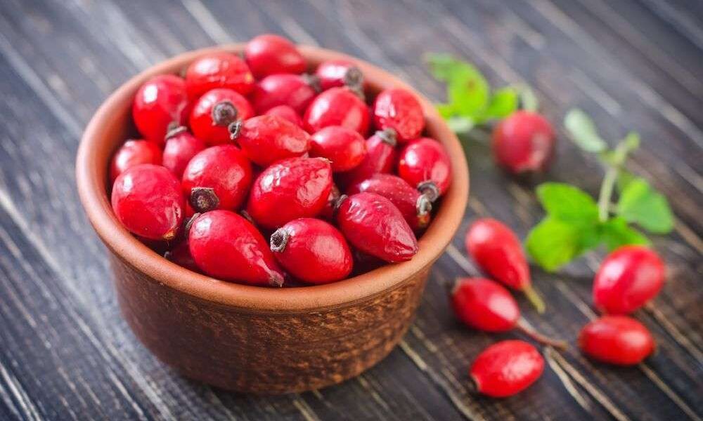 Собираем и сушим шиповник на зиму: секреты и правила