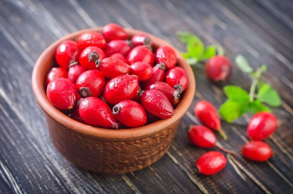 Собираем и сушим шиповник на зиму: секреты и правила