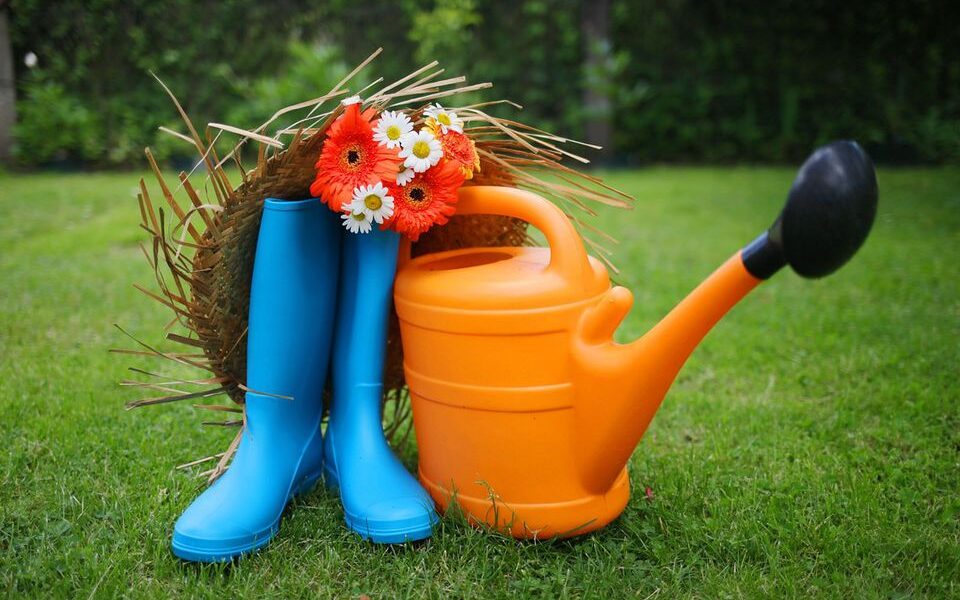 Аптечка для дачи: что купить для дома и здоровья перед началом сезона