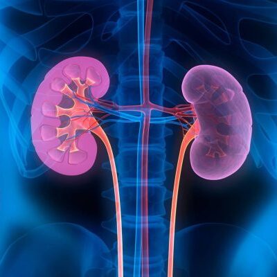 5 тревожных сигналов: как понять, что ваши почки нуждаются в помощи