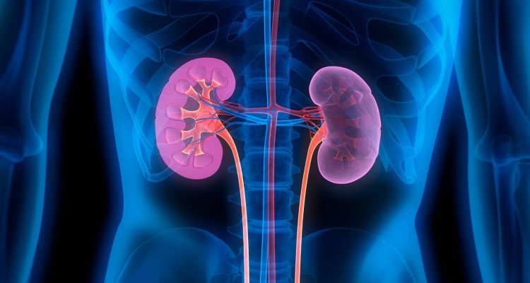 5 тревожных сигналов: как понять, что ваши почки нуждаются в помощи