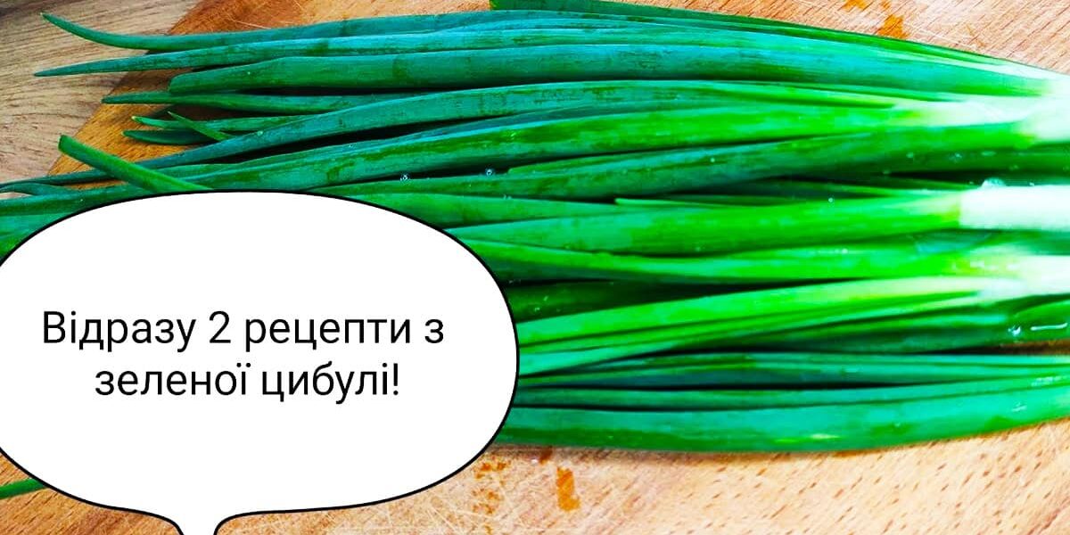 лук, рецепты из лука, вкусные блюда из лука