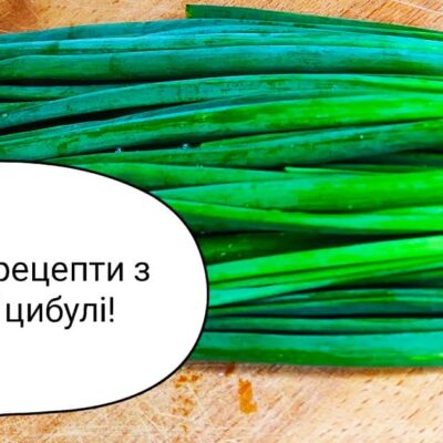 лук, рецепты из лука, вкусные блюда из лука