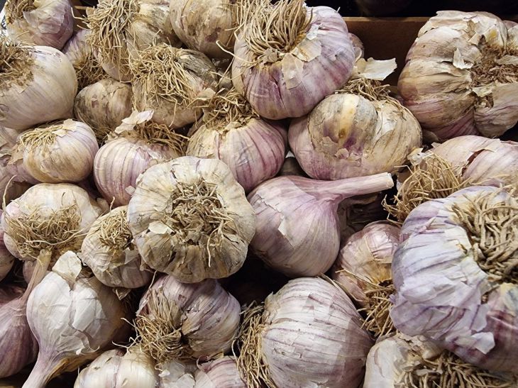 чеснок, почистить чеснок, лайфхаки для кухни