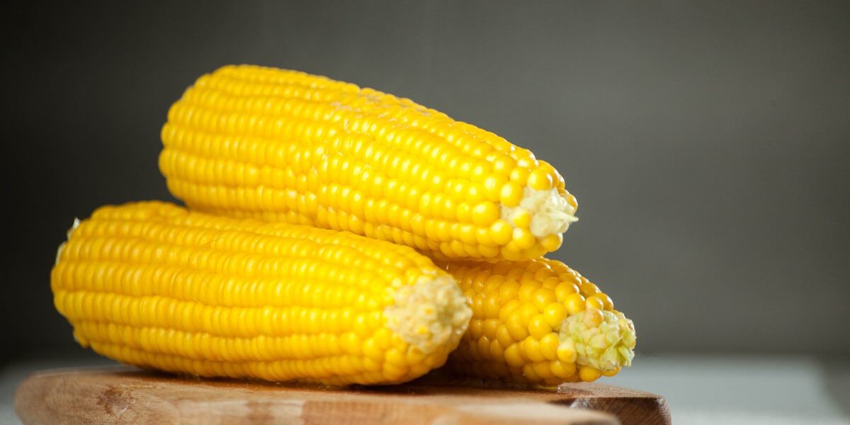 кукуруза, идеальная вареная кукуруза, хранение вареной кукурузы