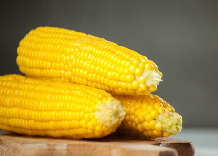 кукуруза, идеальная вареная кукуруза, хранение вареной кукурузы