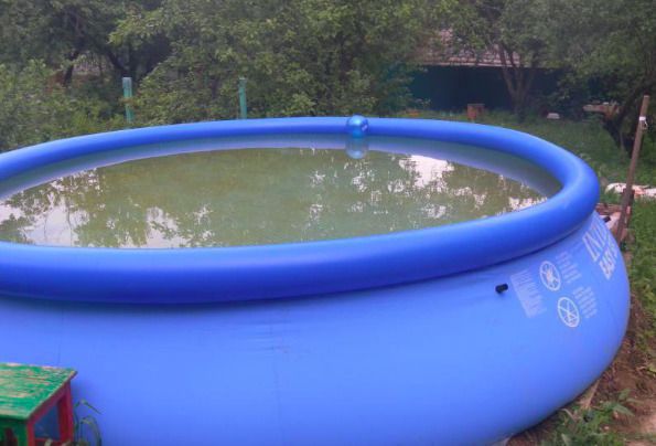 зеленая, вода в бассейне, чистка бассейна